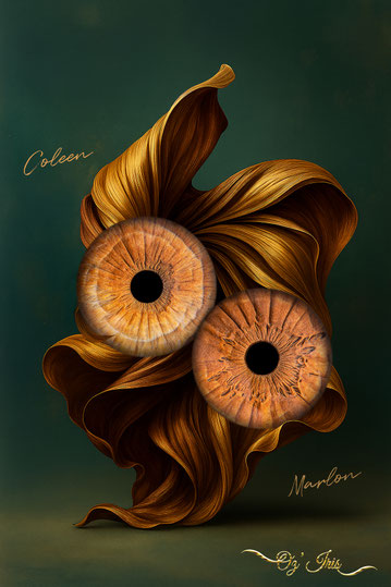 Oz' Iris, Photographie d' Iris à Millau ( Aveyron )