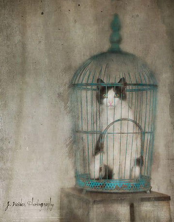 ꧁ Jamie Heiden ꧂