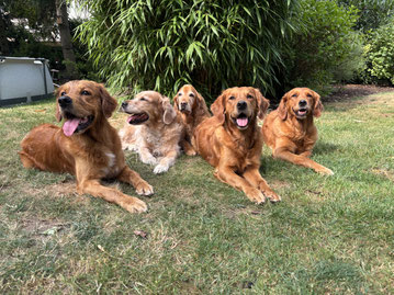 Jaro, Juli, April, May und Summer