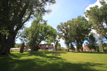 Director Henry Hathaway used Hatwell Park in Ridgway even before John Wayne's "True Grit": he set a scene from "How the West Was Won", including Gregory Peck,  in the same park. 