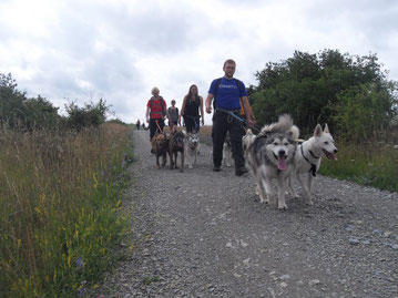 Dogtrekking Dogtrekking Dogtrekking