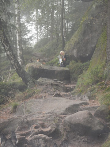Elbsandstein-Dogtrekking