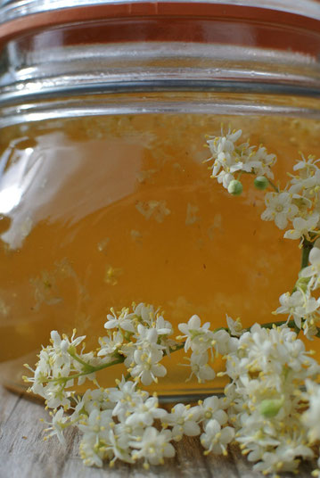 Feines aus Holunderblüten und Prosecco - Marmelade