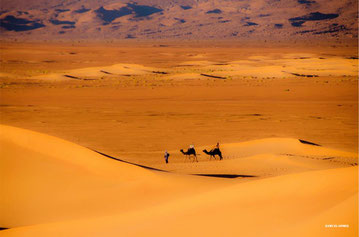 En el Sahara