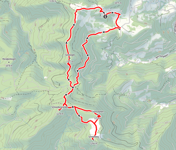 Schneeberg, Schneebergrücken, Tannscharten, Sonnkogel, Hohe Dirn, Anton-Schosser-Hütte, Nationalparkregion, Wandern, Oberösterreich, Reichraminger Hintergebirge, Losenstein, Kalblsaualm