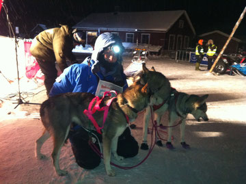 Sandrine et ses chiens après 400km de course