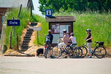 Radfahrer am Ostedeich