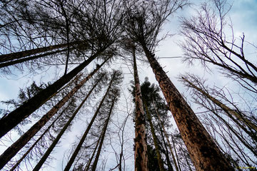 ©Foto: Dr. G. Strobel