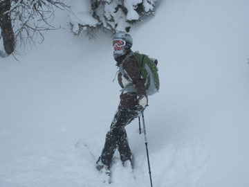 Bild des Monats Jänner 2012