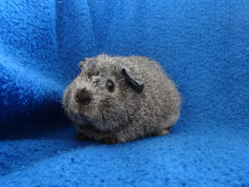 Ich bin sooo lieb und unschuldig - oder doch nicht? ^^