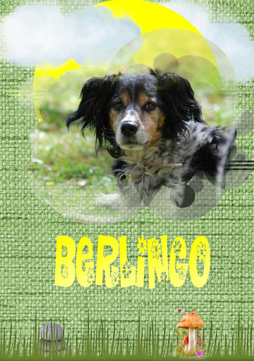 Berlingo si adorable...