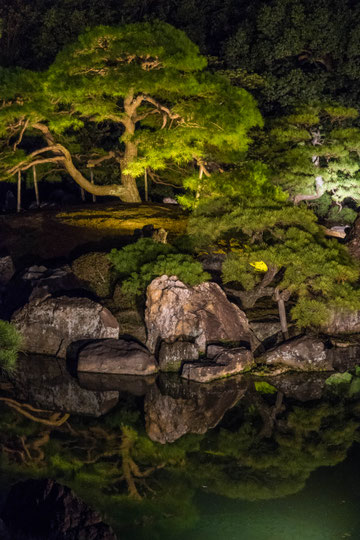 京都ライトアップイベント「京の七夕」二条城会場「二之丸庭園」