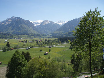 Blick vom Hotel Waldesruhe in Oberstdor in die wunderschöne Alpenwelt!