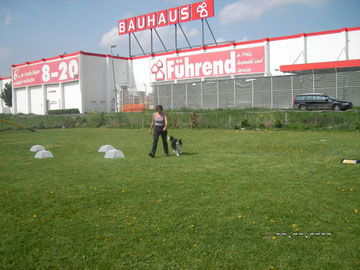 8 ohne Ablenkung