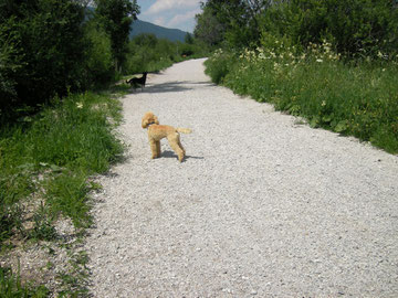 Ein langer Weg nach U A