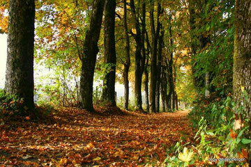 Herbstweg