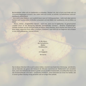 aus: 'Epiphanien - Poetische Erkundungen des Lichtes'