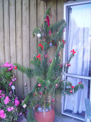 Unser krüppeliger Weihnachtsbaum :o)