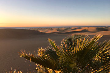 Dünen von Maspalomas