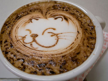 CAPPUCCINO (ROBA DA GATTI...)