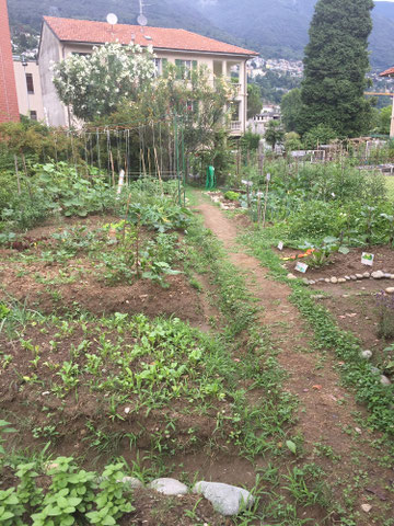 progetto Orto Scuola/Quartiere