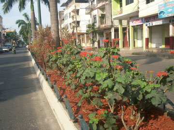 ECUADOR