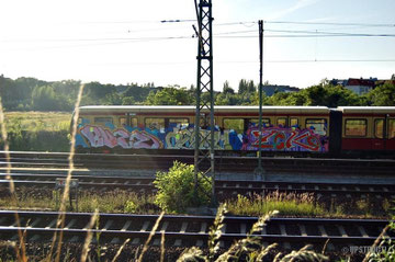 5. August 2012
