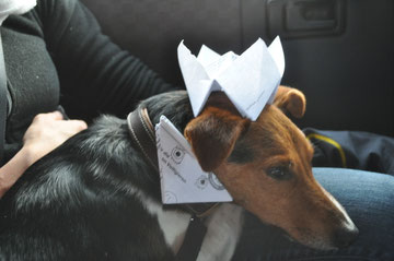Unser King :)