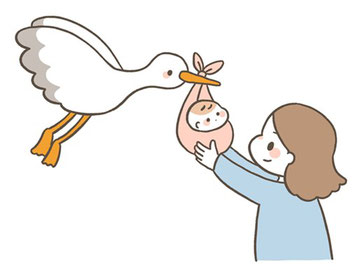 コウノトリ