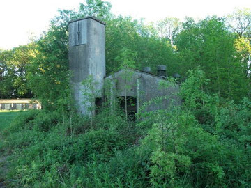 La nature reprend ses droits