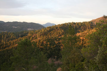 Au coeur des Cévennes