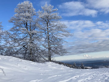 Schwarze Berge - Rhön - Kissinger Hütte - Basaltwerk - herrliche Wanderwege