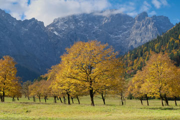 Karl Egger - Goldener Herbst im Tiroler Ahornboden