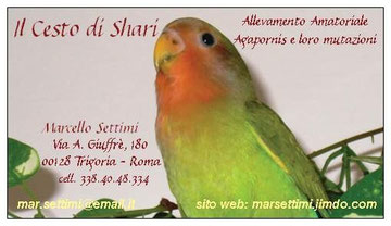 Il mio biglietto da visita