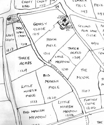 1843 Tithe Map of Yardley (extract)