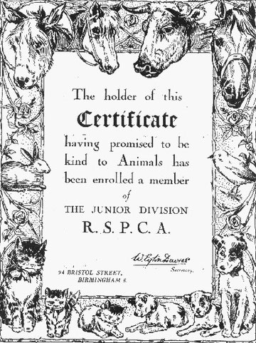 A membership certificate