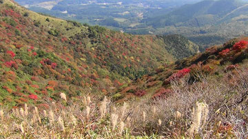 涌蓋山斜面紅葉1(画想をクリックで拡大します)