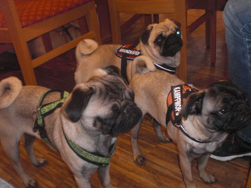 Mattheo(links)mit Halbschwester Emily(Mitte) & Lucy