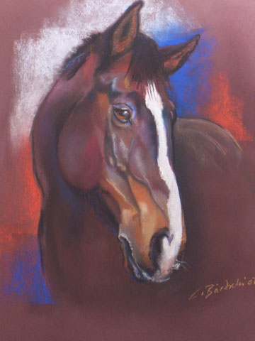 Pferde Portrait 50 & 70