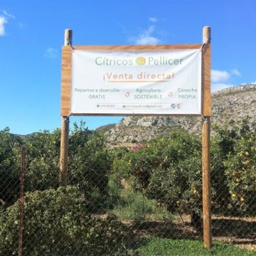 CITRICOS PELLICER