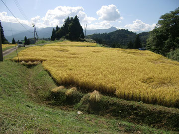 峰