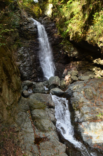 山梨県富士川町・大柳川渓谷・不動滝 23,11,12