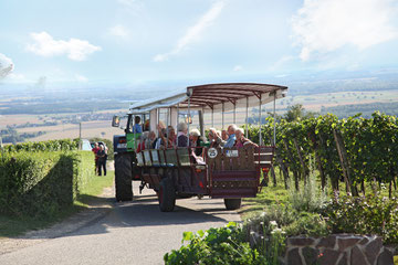 Der Lenzenberg Buggelbus