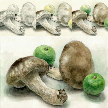 描き方プログラム・すだちと椎茸の水彩画4ステップガイド