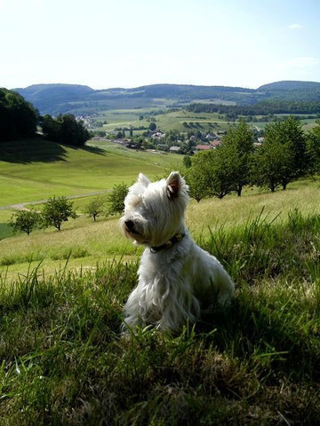 Landschaft