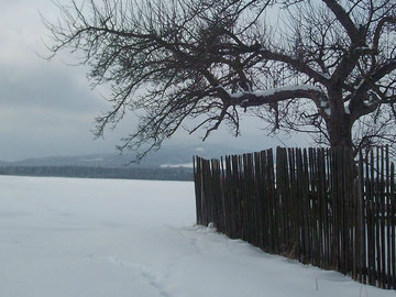 Müllers Garten im Februar