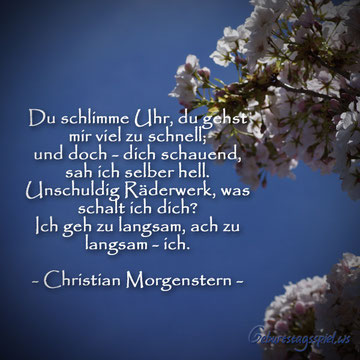 Schöner Geburtstagsspruch