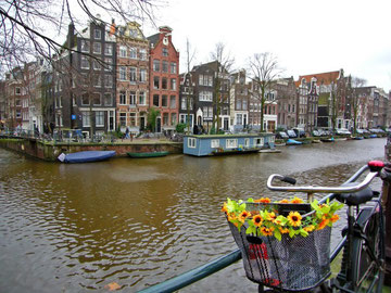 Imatge d'Amsterdam (clicar per anar a l'enllaç del Facebook)