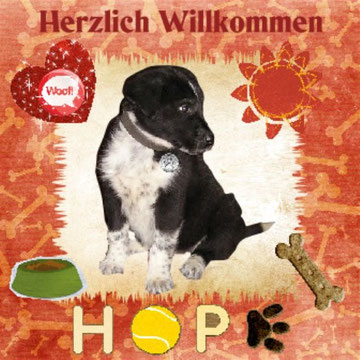 DANKE vielmals Dani und Christina!