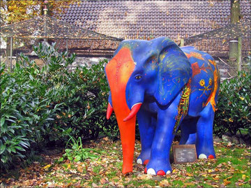 Elefant im Tierpark Hamm